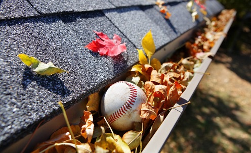 Gutter cleaning in Mobile and Baldwin Counties