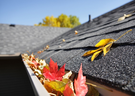 Cleaning debris from a residential rain gutter